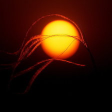 Схема вышивки «Noc»