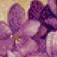 Предпросмотр схемы вышивки «Цветы» (№552548)