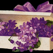 Схема вышивки «Цветы»