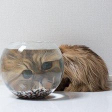 Схема вышивки «Котэ»