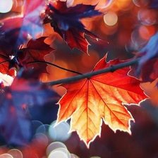 Схема вышивки «Лист»