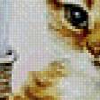 Предпросмотр схемы вышивки «Котенок» (№552611)