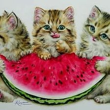 Схема вышивки «Котята»