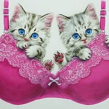 Схема вышивки «Котята»