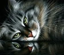 Схема вышивки «№552681»