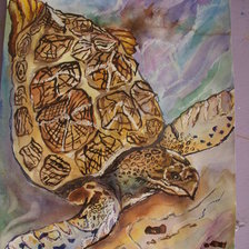 Схема вышивки «Морская черепаха»