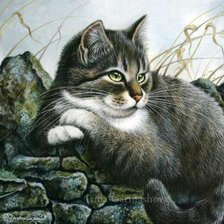 Схема вышивки «№552721»