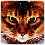 Схема вышивки «№552736»