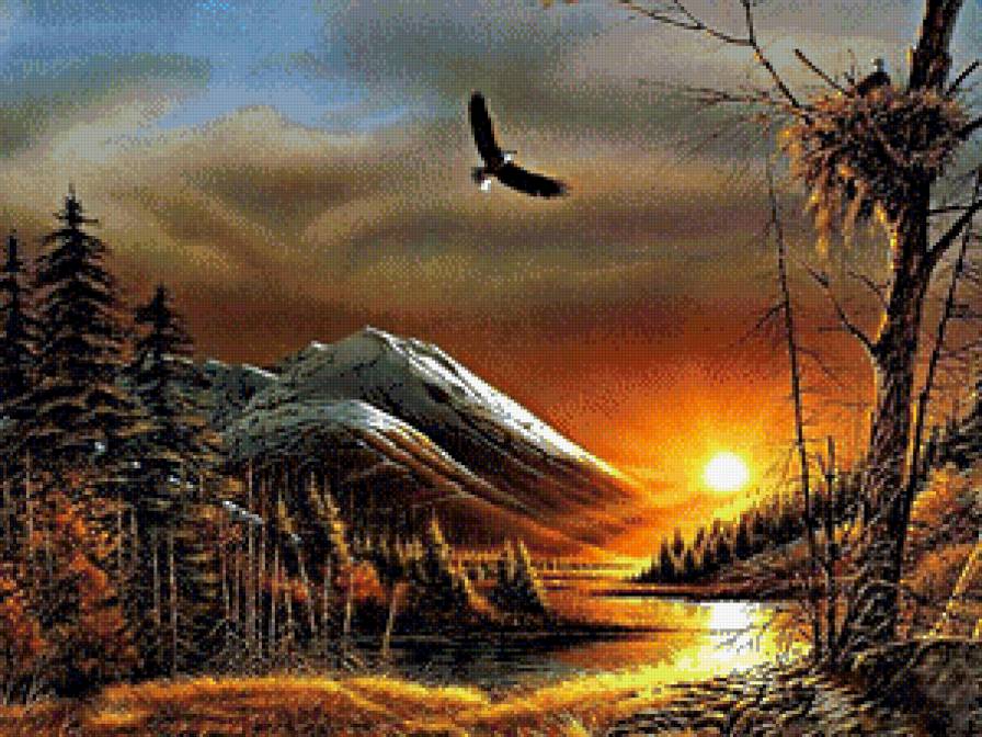 Полет - закат, природа, красота, птица - предпросмотр