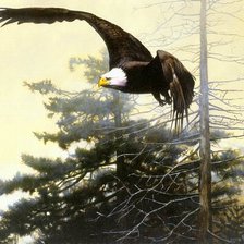 Схема вышивки «Орел»