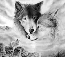 Схема вышивки «Волки»