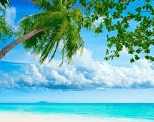 Схема вышивки «Море»