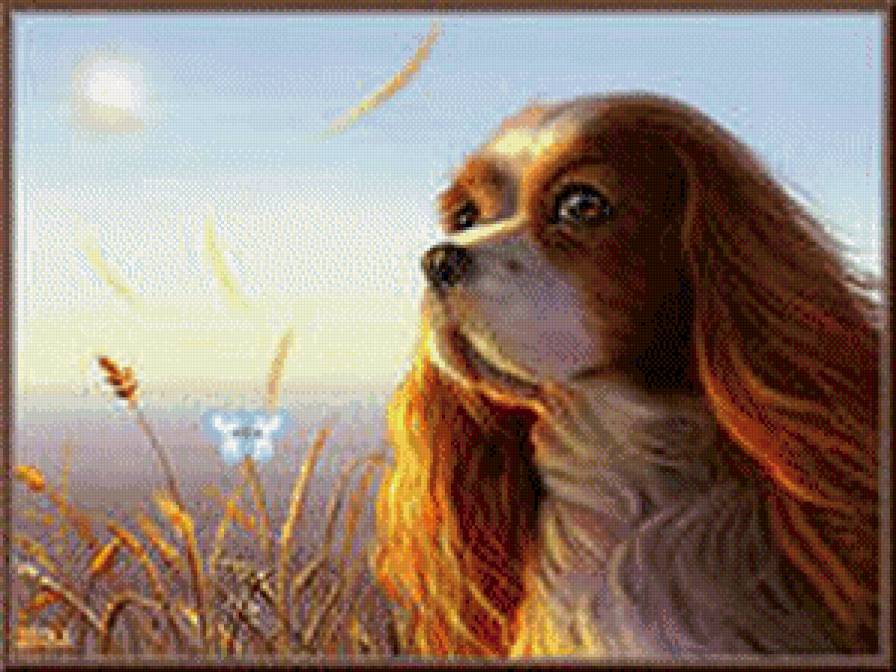 Собака - собака, животные, бабочка - предпросмотр