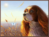 Схема вышивки «Собака»