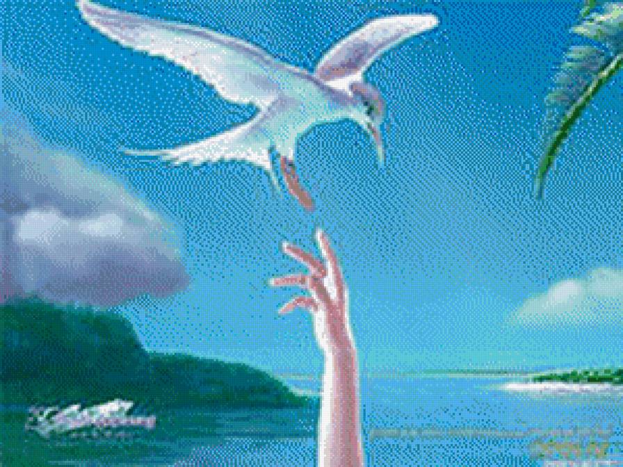 №553133 - лето, море, птицы - предпросмотр