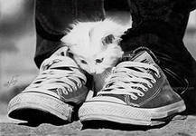 Схема вышивки «Под защитой....»