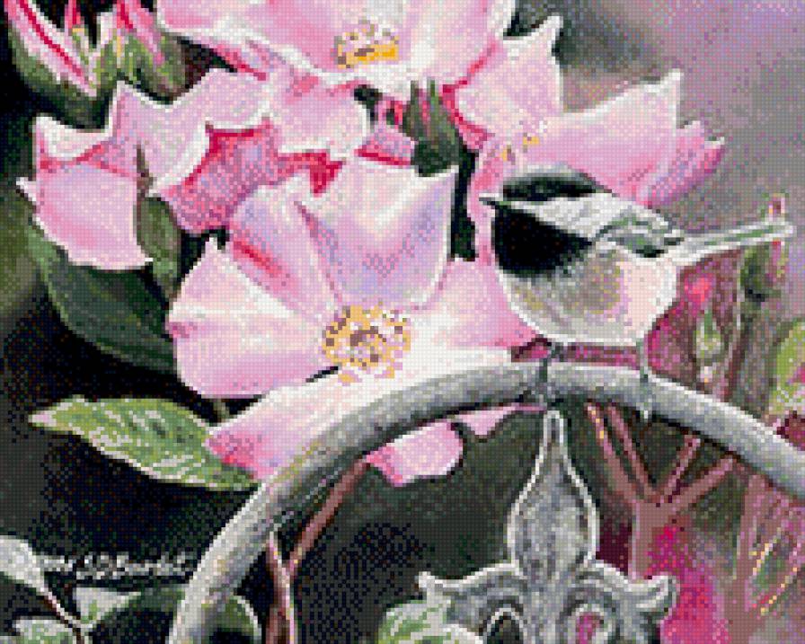 Синичка с цветами - букет, птицы, цветы - предпросмотр