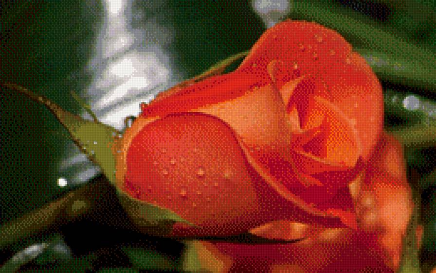 №553176 - предпросмотр