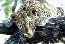 Схема вышивки «леопард»