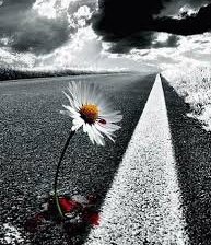 Схема вышивки «ромашка»