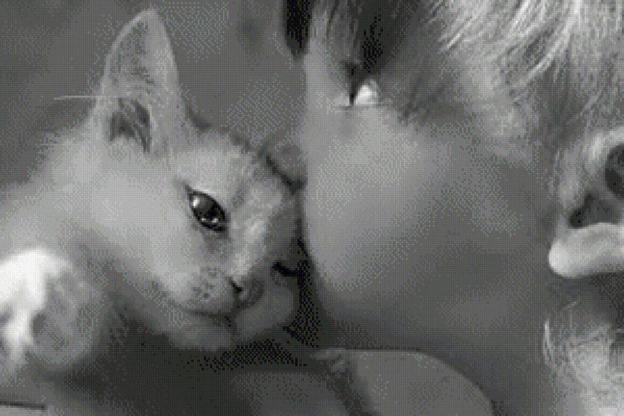 Самый лучший друг - животные, друг, коты, дети, монохром, люди - предпросмотр