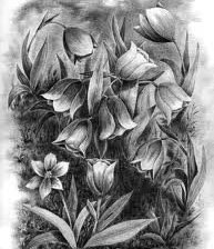 Схема вышивки «цветы»