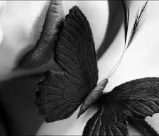 Бабочка