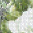 Предпросмотр схемы вышивки «белоснежность» (№553354)