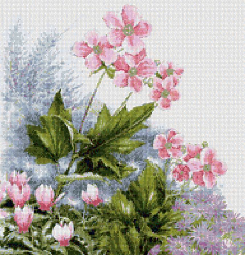 розовая красота - цветы - предпросмотр