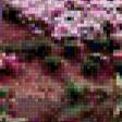 Предпросмотр схемы вышивки «малиновый рай» (№553407)