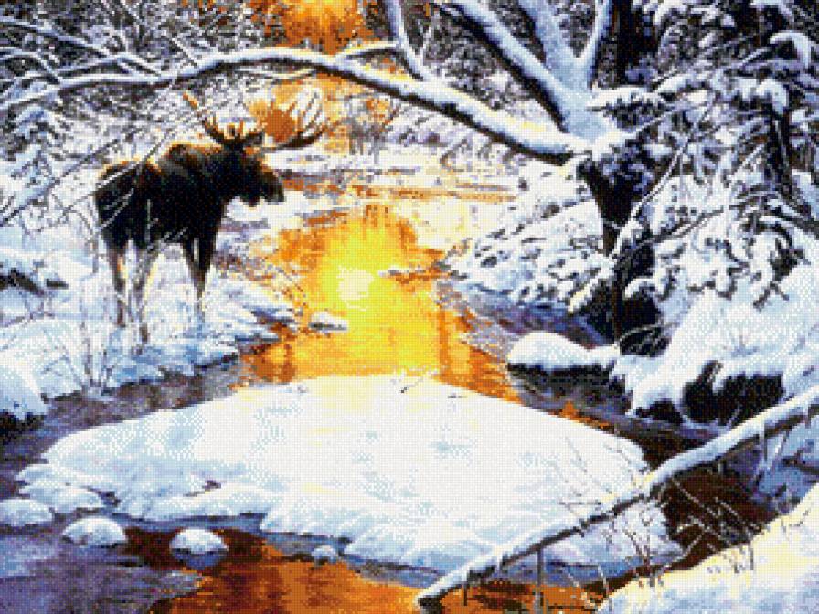 закат в лесу - природа, лось, пейзаж, зака, лес, зима, река - предпросмотр