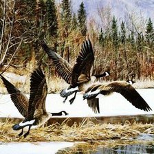 Схема вышивки «полет уток»