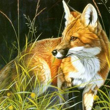 Схема вышивки «лиска»