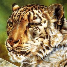 Схема вышивки «тигр»