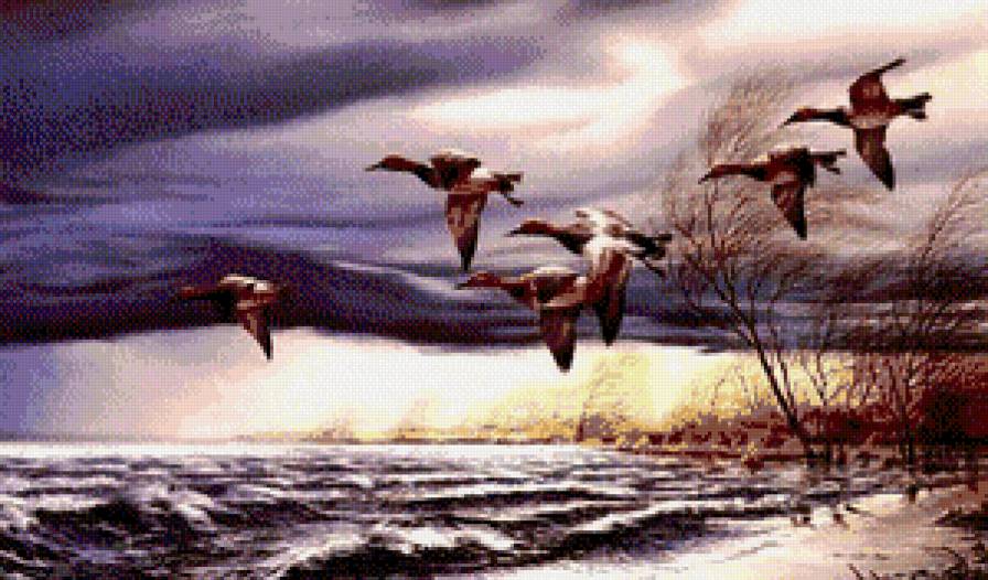полет уток - птицы, озеро, пейзаж, природа, утки - предпросмотр