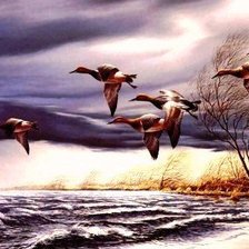 Схема вышивки «полет уток»