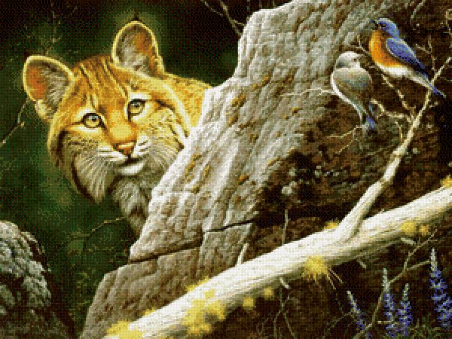 кот и птицы - животные, хищники, кошки, природа. птицы - предпросмотр