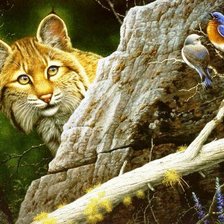 Схема вышивки «кот и птицы»