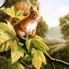 Схема вышивки «белка»