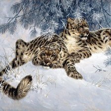 Схема вышивки «дикие кошки»