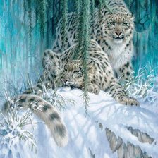 Схема вышивки «дикие кошки»