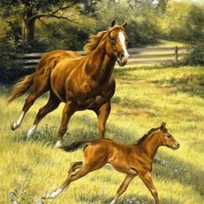 Схема вышивки «лошади»