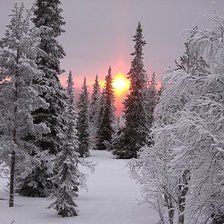 Схема вышивки «зима»