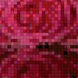 Предпросмотр схемы вышивки «РОЗИ» (№553682)