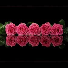 Схема вышивки «РОЗИ»