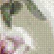 Предпросмотр схемы вышивки «№553827»