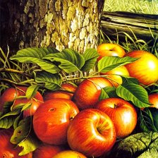 Схема вышивки «№553923»