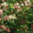 Предпросмотр схемы вышивки «Розы» (№553971)