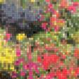Предпросмотр схемы вышивки «Британские розы» (№553975)