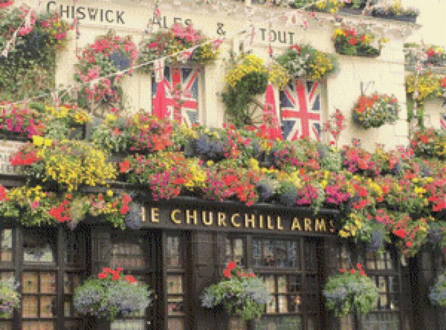 Британские розы - розы, цветы, англия - предпросмотр